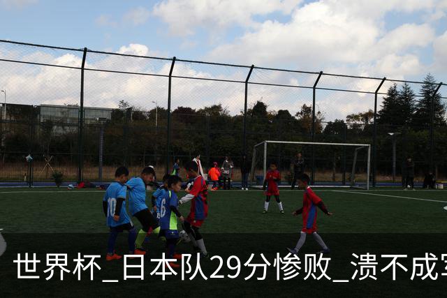 世界杯 日本队29分惨败 溃不成军 中国男篮18分大胜 美国31分狂胜法国