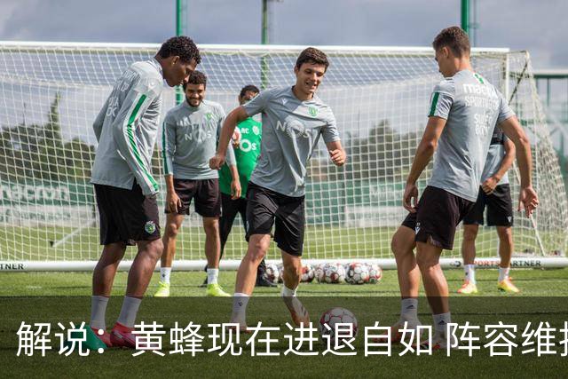 解说：黄蜂现在进退自如 阵容维持一定竞争力 可重建也可追逐球星