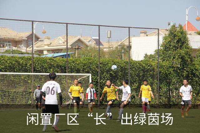 闲置厂区“长”出绿茵场
