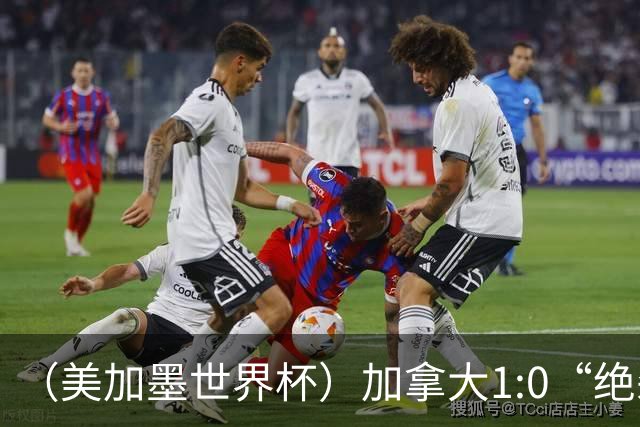 （美加墨世界杯）加拿大1:0“绝杀”南非 队史首进16强