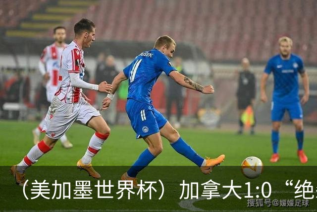 （美加墨世界杯）加拿大1:0“绝杀”南非 队史首进16强